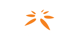 Logo 4